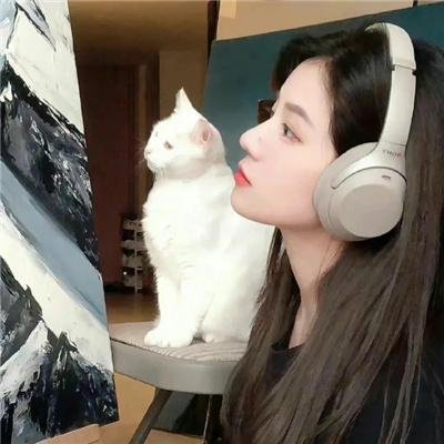 八个女人一台戏